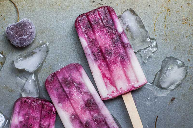 frozen pops made in Jose Mier kitchen