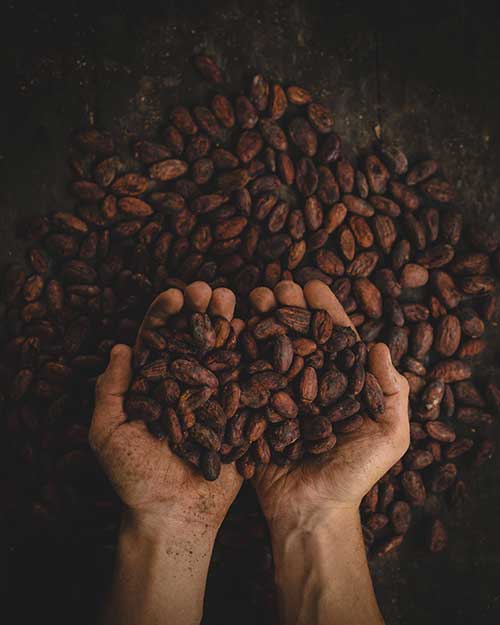 Cacao nibs used by Jose Mier in Sun Valley, CA